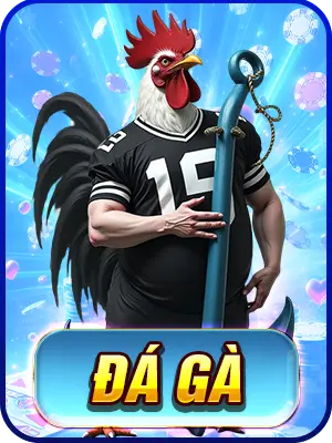 Đá gà